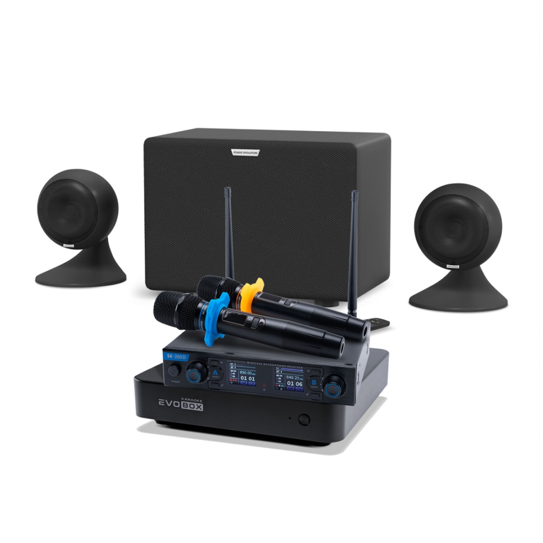 караоке-комплект EVOBOX + EvoSound Sphere 2.1 в Павловском Посаде