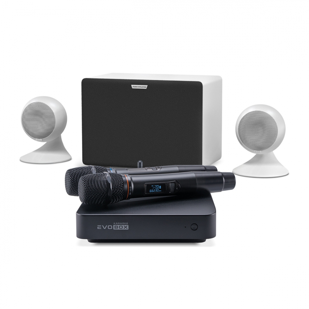 караоке-комплект EVOBOX Classic + EvoSound Sphere 2.1 в Павловском Посаде