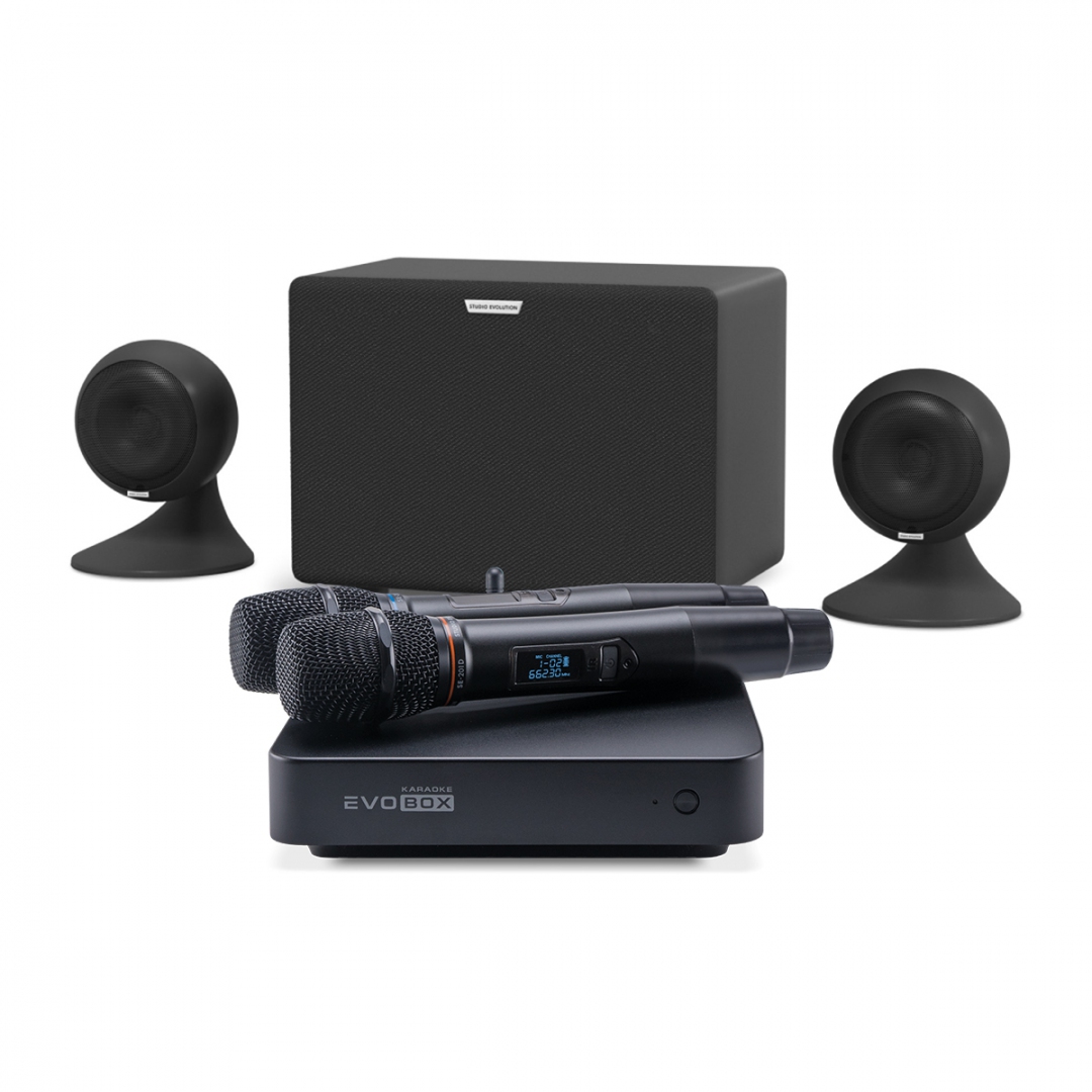 караоке-комплект EVOBOX Plus + EvoSound Sphere 2.1 в Павловском Посаде