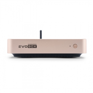 EVOBOX Plus караоке-система для дома в Павловском Посаде