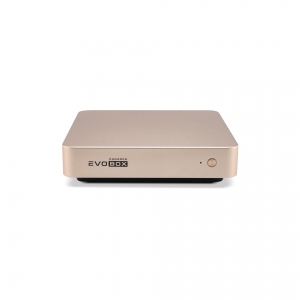 EVOBOX с микрофонами в Павловском Посаде